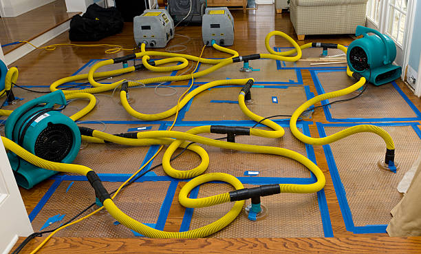 Professional Burst Pipe Water Damage technician working in Rocky Top, TN